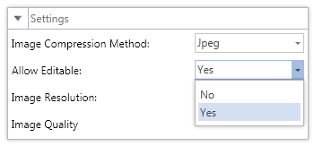 Editable Fields in PDF Editable Fields in PDF
